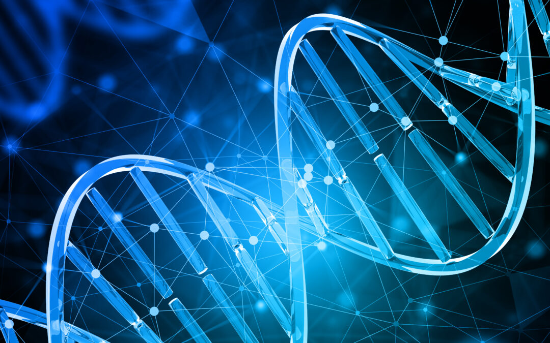 Digital DNA Over Digital Transformation